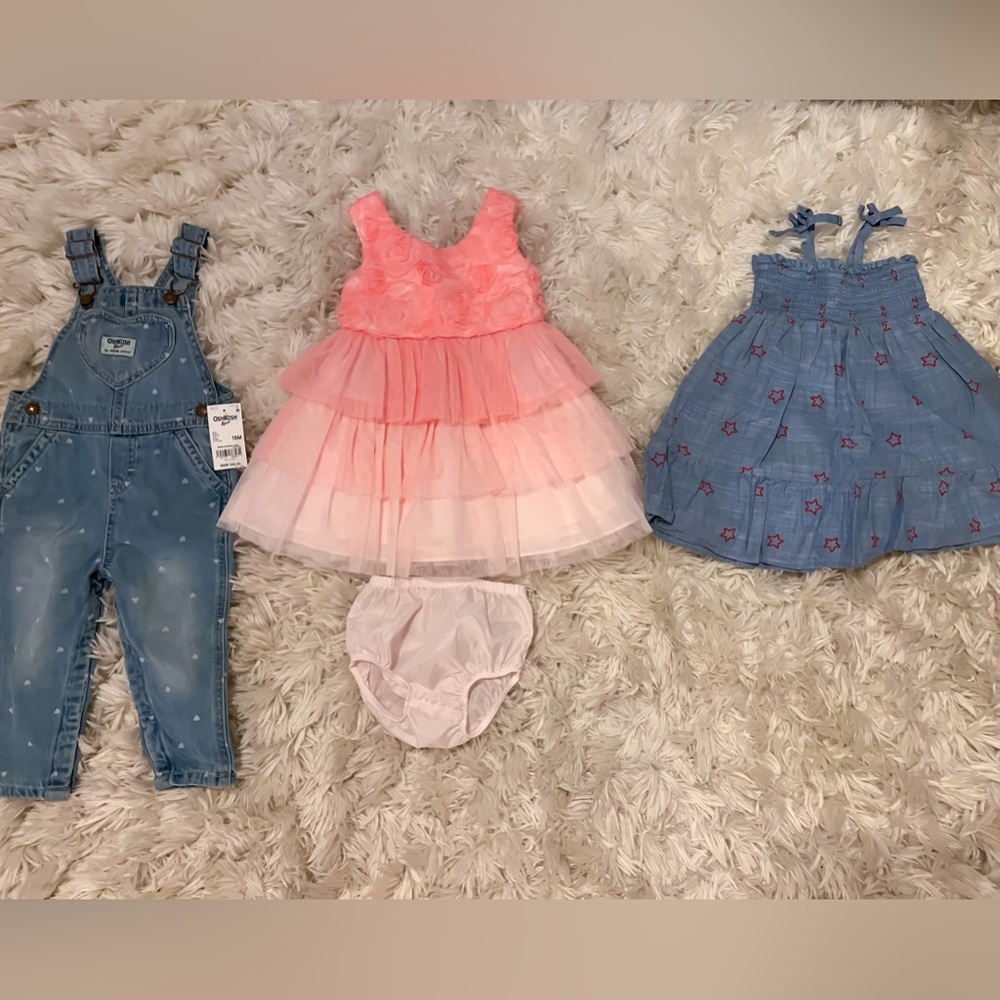10 Item Lot of 18-24 mo old Girl Clothing (Spring/Summer)